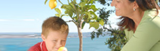 img-ag-56 img-ag-56